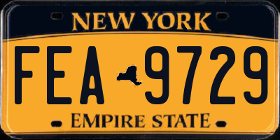 NY license plate FEA9729
