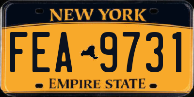 NY license plate FEA9731