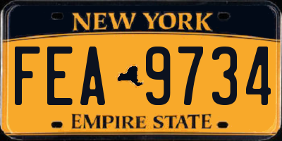NY license plate FEA9734