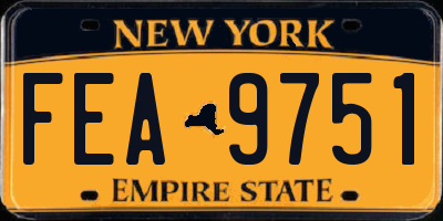 NY license plate FEA9751