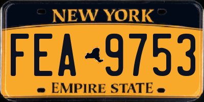 NY license plate FEA9753