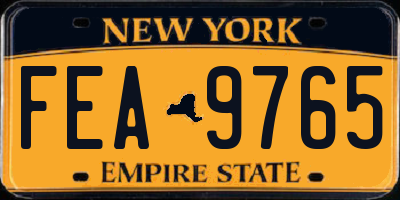 NY license plate FEA9765