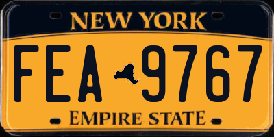 NY license plate FEA9767
