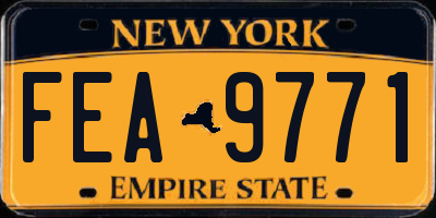 NY license plate FEA9771