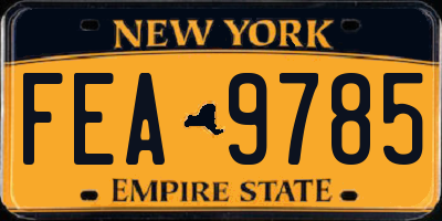 NY license plate FEA9785