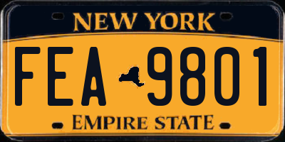 NY license plate FEA9801