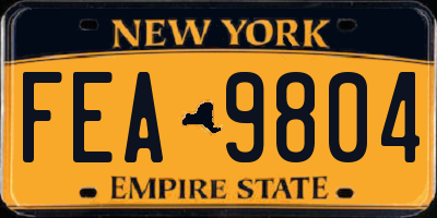 NY license plate FEA9804