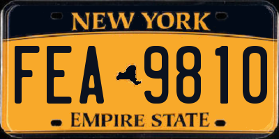 NY license plate FEA9810