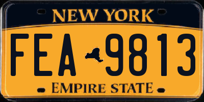 NY license plate FEA9813