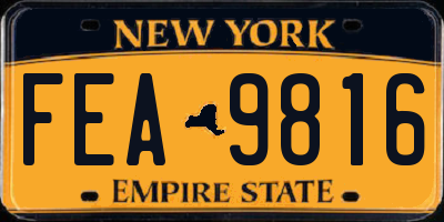 NY license plate FEA9816