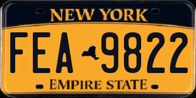 NY license plate FEA9822