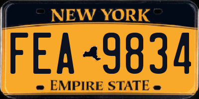 NY license plate FEA9834