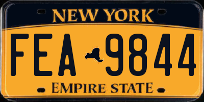 NY license plate FEA9844