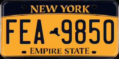 NY license plate FEA9850