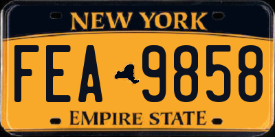 NY license plate FEA9858