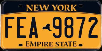 NY license plate FEA9872