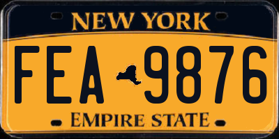 NY license plate FEA9876