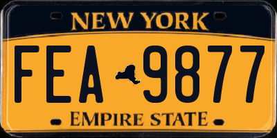 NY license plate FEA9877
