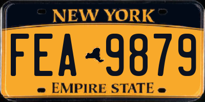 NY license plate FEA9879