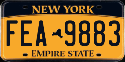 NY license plate FEA9883