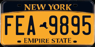 NY license plate FEA9895