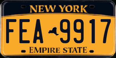 NY license plate FEA9917