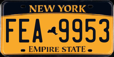 NY license plate FEA9953