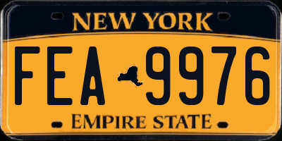 NY license plate FEA9976
