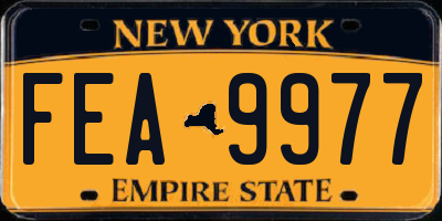 NY license plate FEA9977
