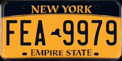 NY license plate FEA9979