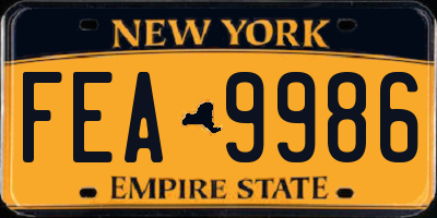 NY license plate FEA9986