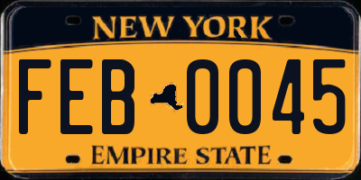 NY license plate FEB0045
