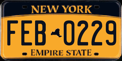 NY license plate FEB0229