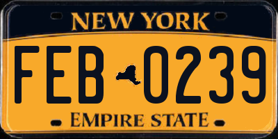 NY license plate FEB0239