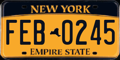 NY license plate FEB0245