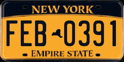 NY license plate FEB0391