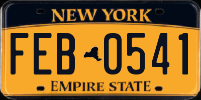NY license plate FEB0541
