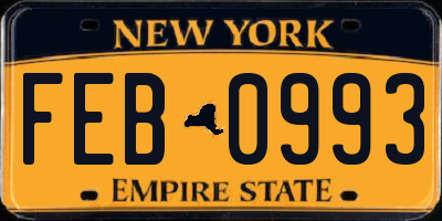 NY license plate FEB0993