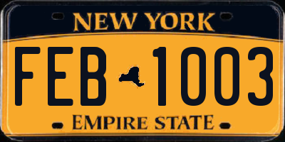 NY license plate FEB1003
