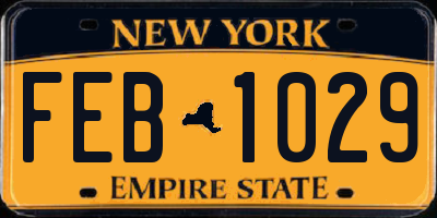 NY license plate FEB1029