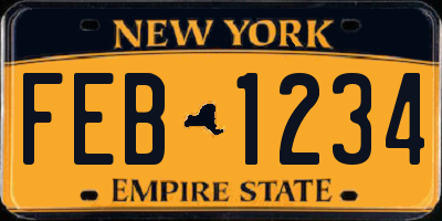 NY license plate FEB1234