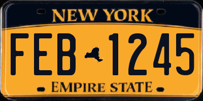 NY license plate FEB1245