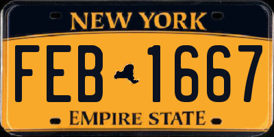 NY license plate FEB1667