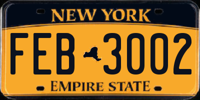 NY license plate FEB3002