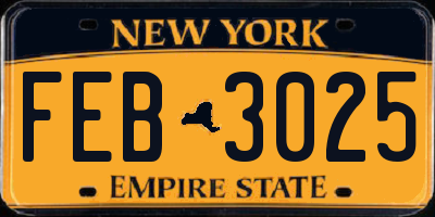 NY license plate FEB3025