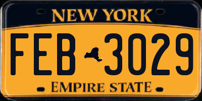 NY license plate FEB3029