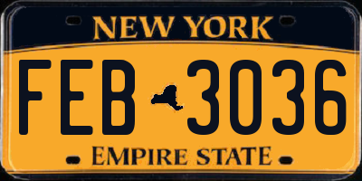 NY license plate FEB3036