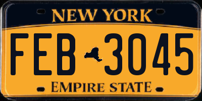 NY license plate FEB3045
