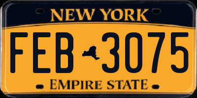 NY license plate FEB3075