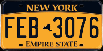 NY license plate FEB3076